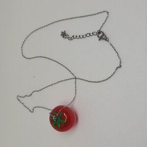 3/4" Tomato 18" + 2" Ext Silver Tone Necklace